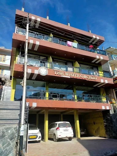 Hotel White Orchid   — photo 3