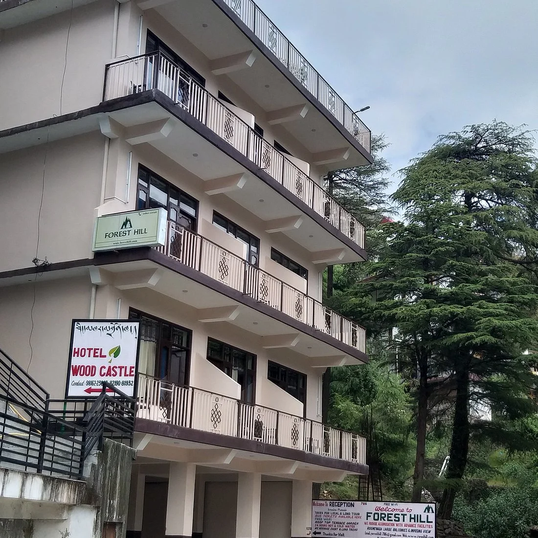 Hotel Forest Hill — photo 2