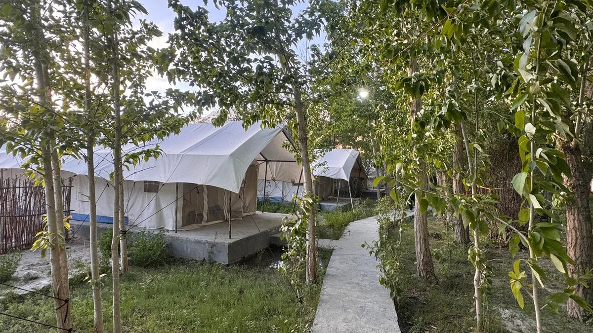 Apple Nubra Cottage — photo 8