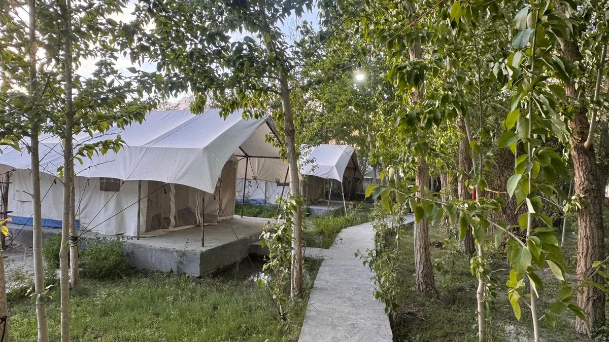 Apple Nubra Cottage — photo 7