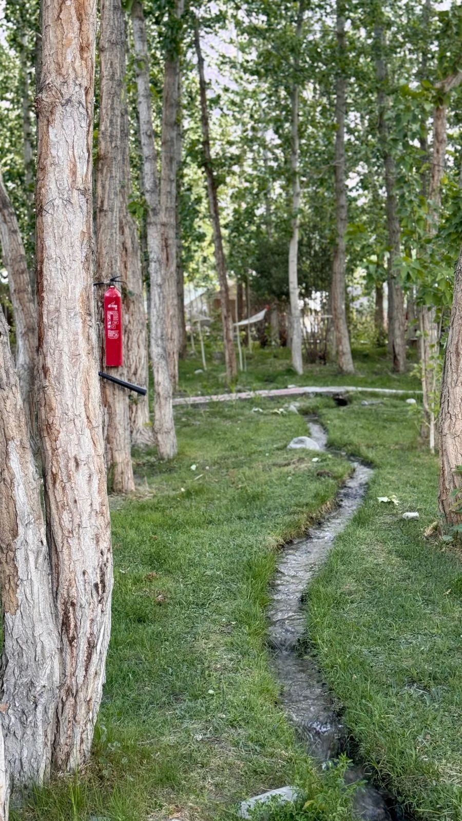 Apple Nubra Cottage — photo 4