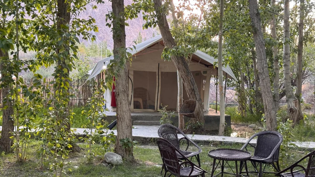 Apple Nubra Cottage — photo 6