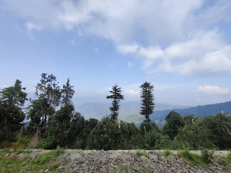 Hotel Kufri Paradise photo 10