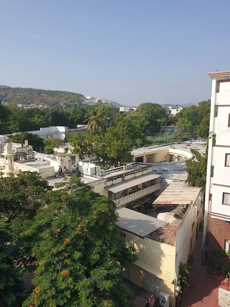 Hotel Padmini Palace — photo 23