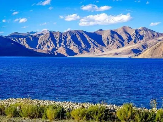 Blue Chill Cottage Pangong — photo 19