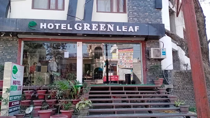 Hotel Green Leaf By T And M Hotels  — photo 2
