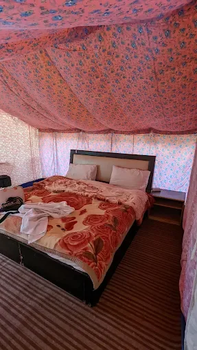 Apple Nubra Cottage — photo 18