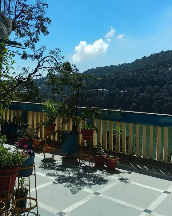 Hotel Silverton The Mall Nainital — photo 3