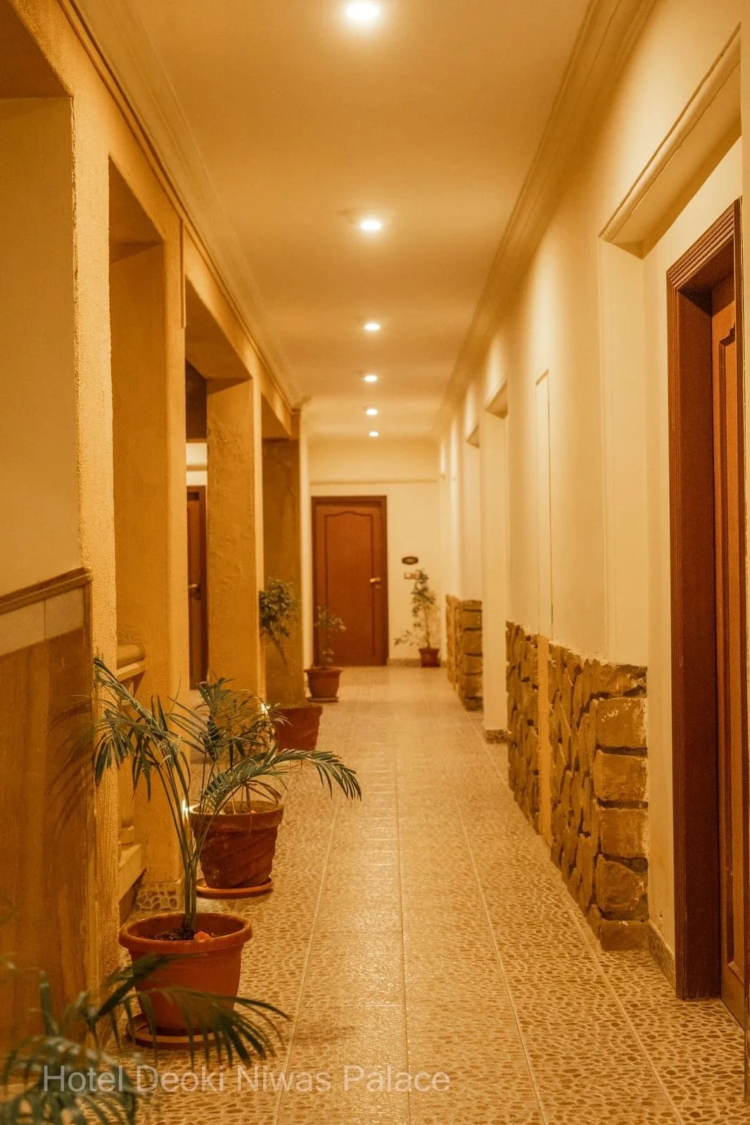 Hotel Deoki Niwas Palace — photo 4