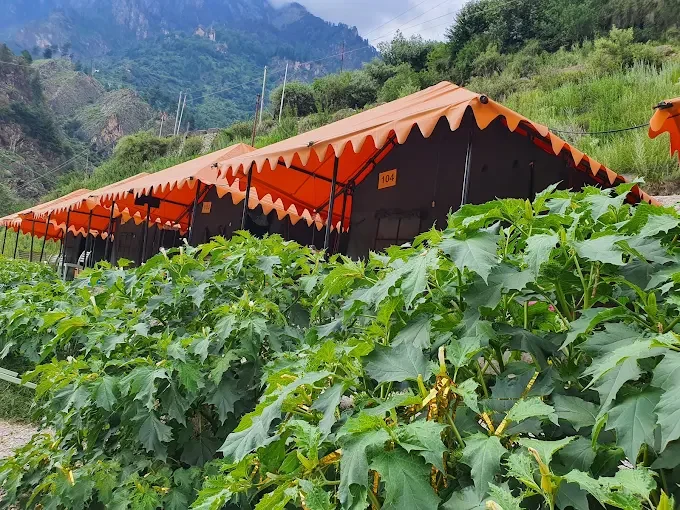 Kovid Camps Kasol Riverside — photo 2