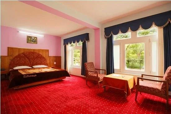 Hotel Mohan Palace — photo 9