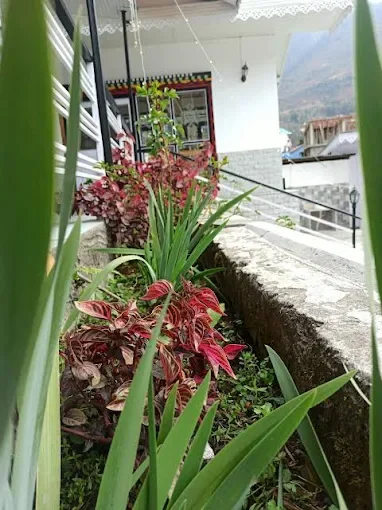 Rufina Lachung Kunga — photo 3