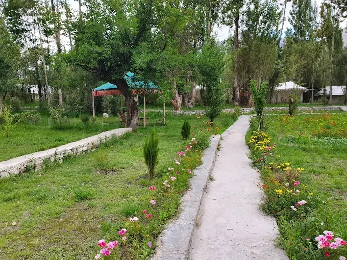 Apple Nubra Cottage — photo 3