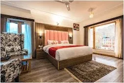 Premium Mount View Room