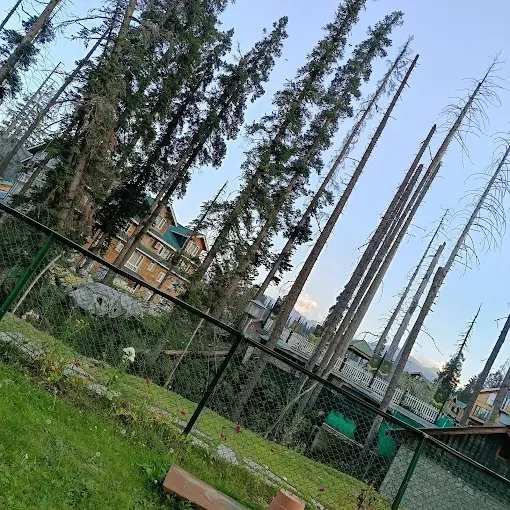 Hotel Mama Palace — photo 2