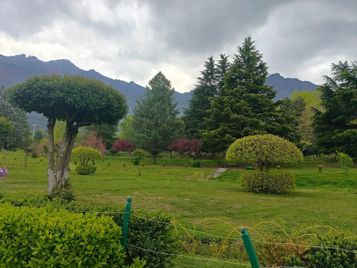 Hotel Belvior Estate — photo 7