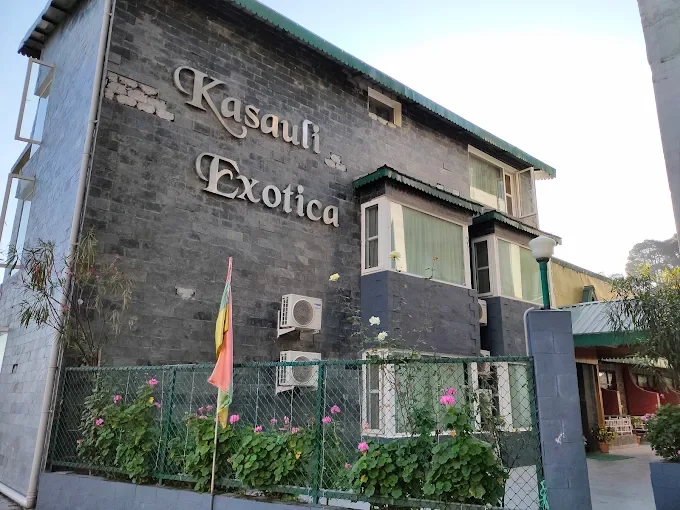 Kasauli Exotica — photo 3