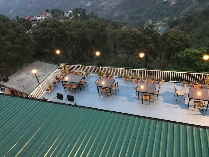 Kasauli Exotica — photo 4