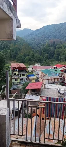 Hotel city forest — photo 3