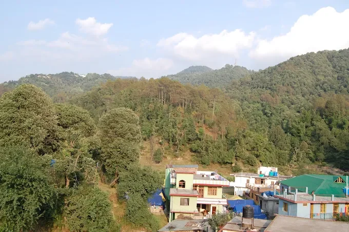 Hotel city forest — photo 2