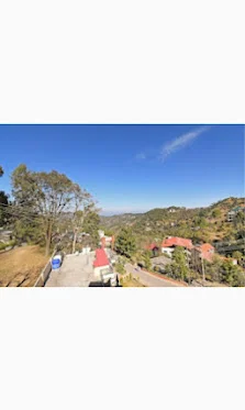 Kasauli pinegrooves inn — photo 2
