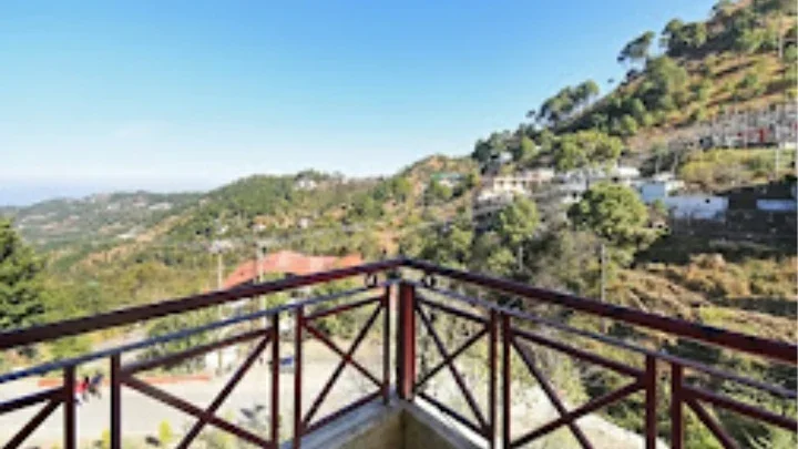 Kasauli pinegrooves inn — photo 4