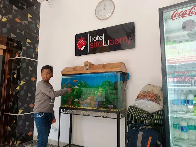 Hotel Strawberry Chandigarh — photo 11