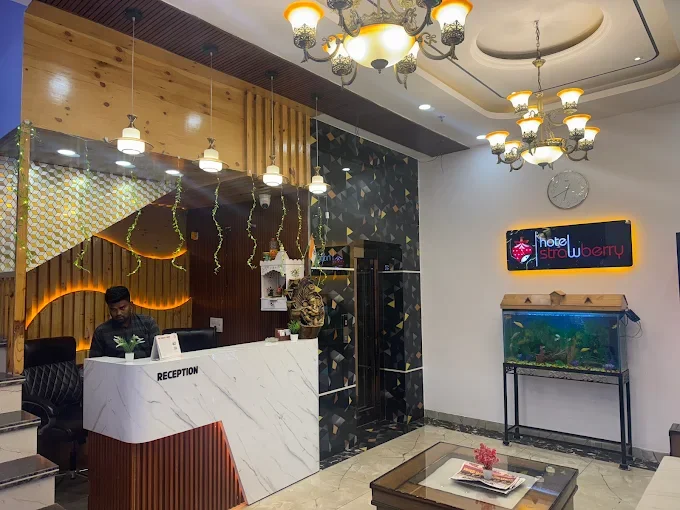 Hotel Strawberry Chandigarh — photo 10