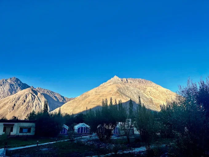 lotus eco resort nubra valley — photo 3