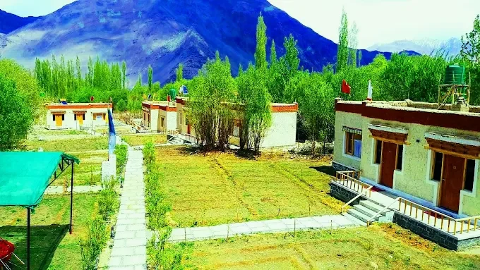 lotus eco resort nubra valley — photo 1