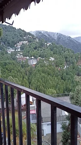 Hotel Monal — photo 3