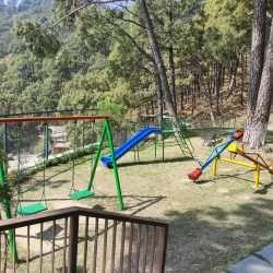 Kasauli Exotica — photo 17