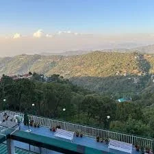 Kasauli Exotica — photo 15