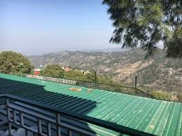 Kasauli Exotica — photo 16