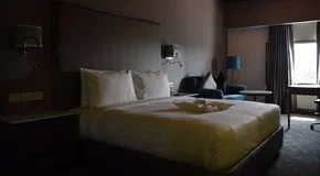 Hotel The Piccadily  — photo 8