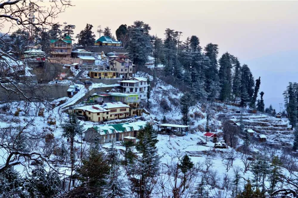 Honeymoon  Shimla