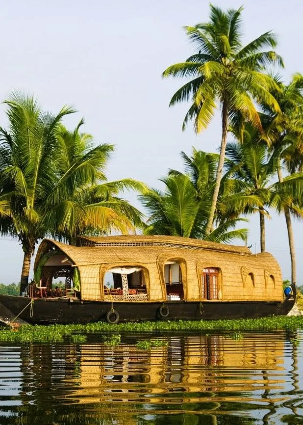 Kerala Panorama | Hills, Wildlife & Backwater Bliss