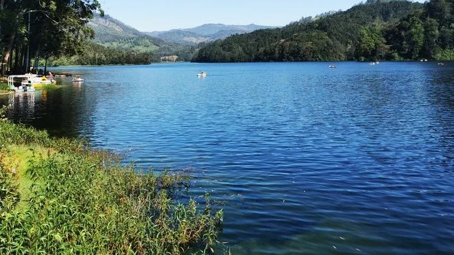 Kerala Serenity | Munnar Hills, Thekkady Wildlife & Alleppey Houseboat